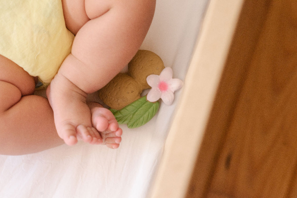 cadeau naissance jeu dentition bébé baby teether birth gift jouet bain bruxelles oli and carol bizoo bizoo